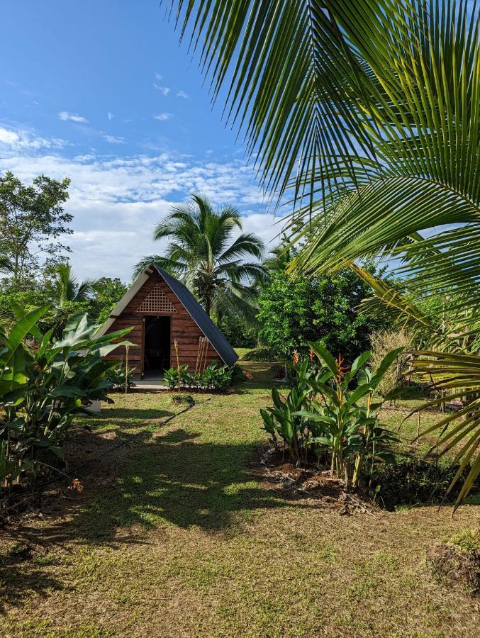 Hotel Bewak Cr Tortuguero Exterior foto