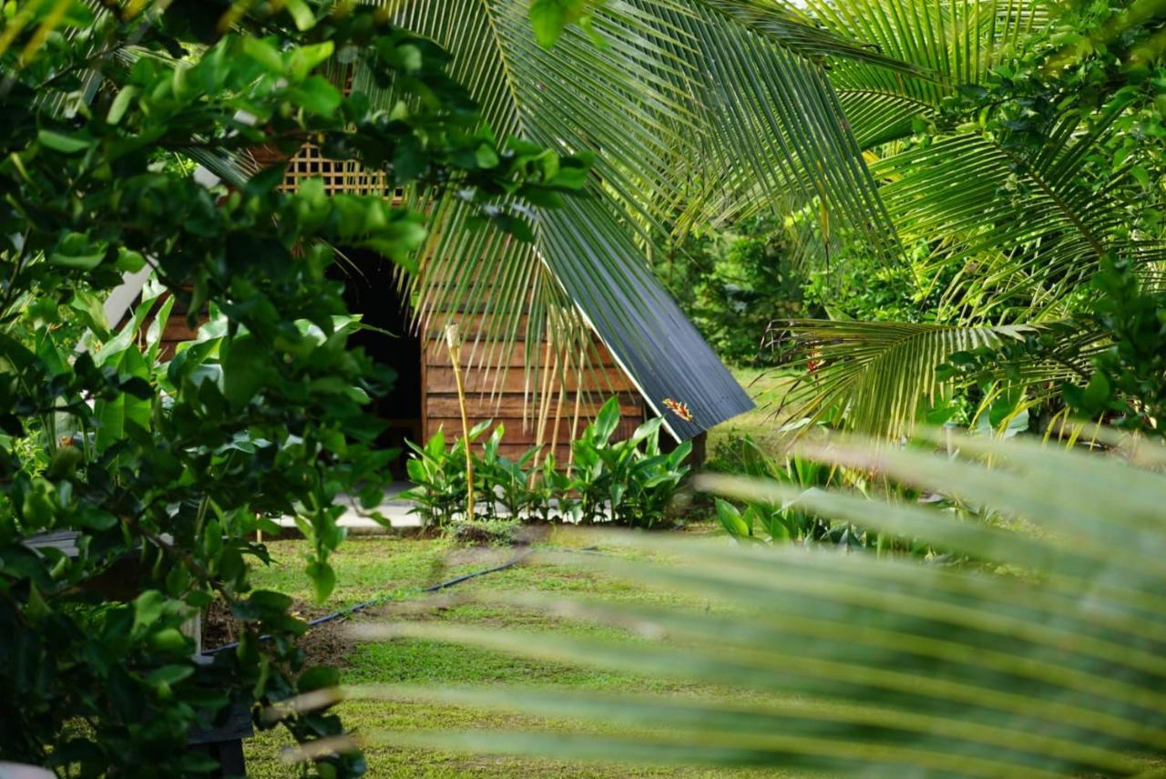 Hotel Bewak Cr Tortuguero Exterior foto