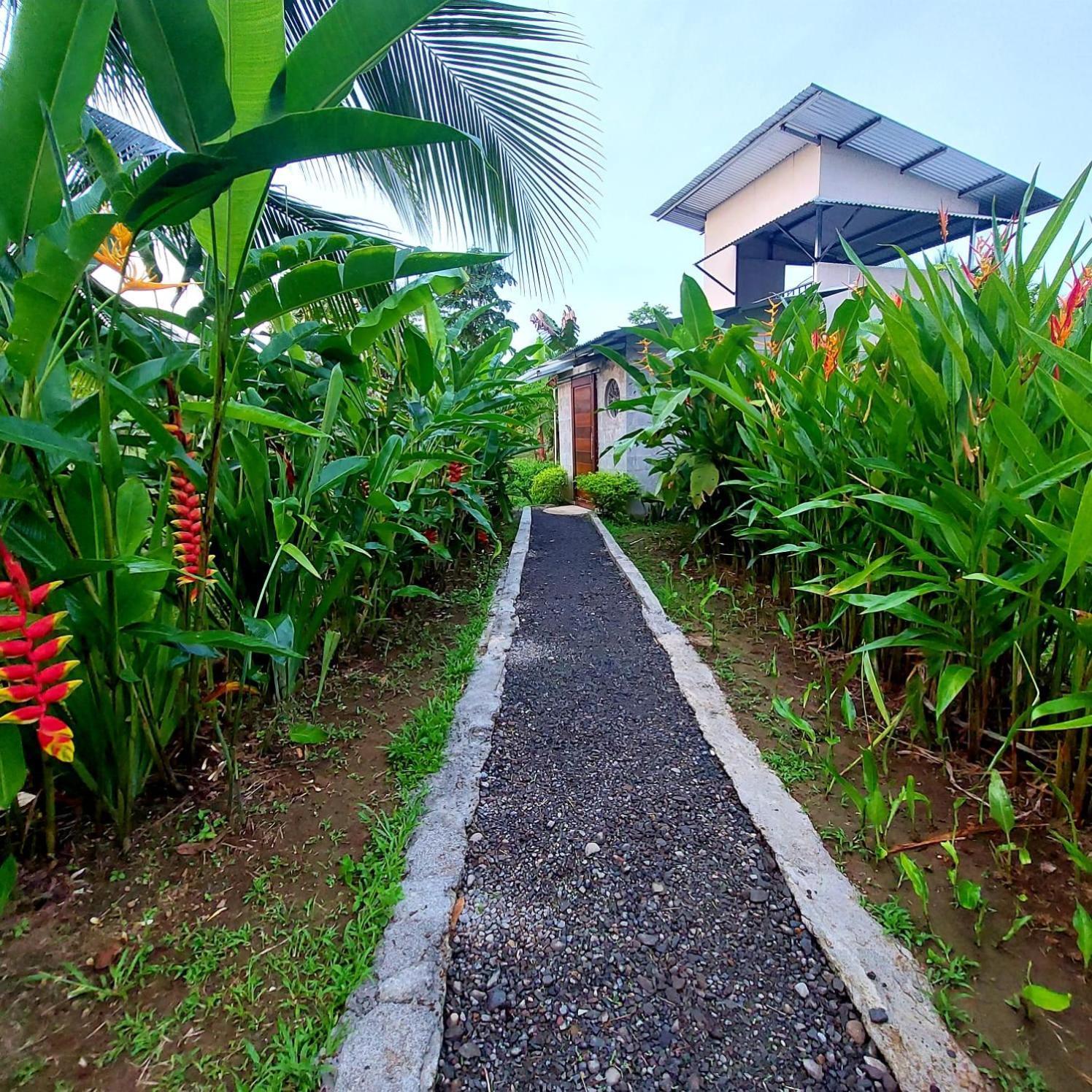 Hotel Bewak Cr Tortuguero Exterior foto